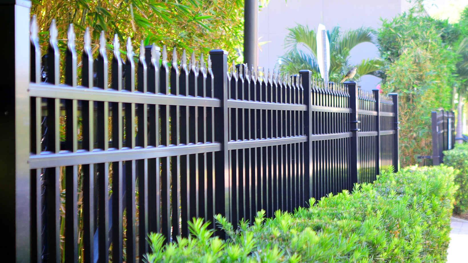 Custom Fencing for a Residential Home in Ramona